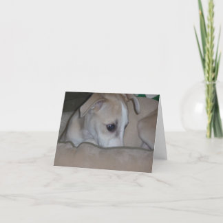 Carte Whippet puppy notecard