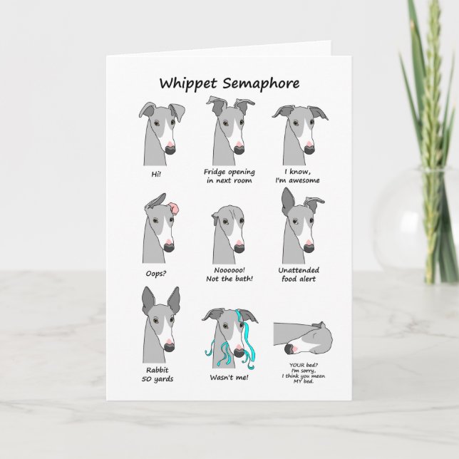 Carte Whippet Semaphore (Devant)