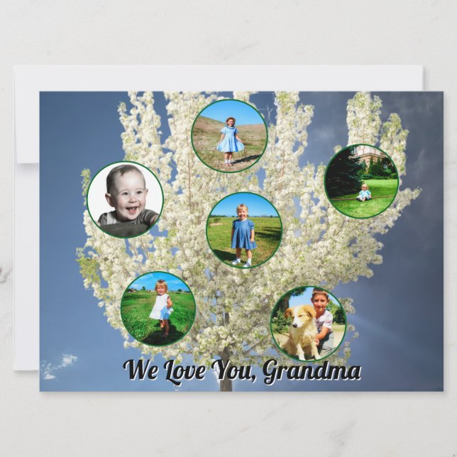 Carte White Blossoming Tree Six Photos Love You Grandma  (Devant)