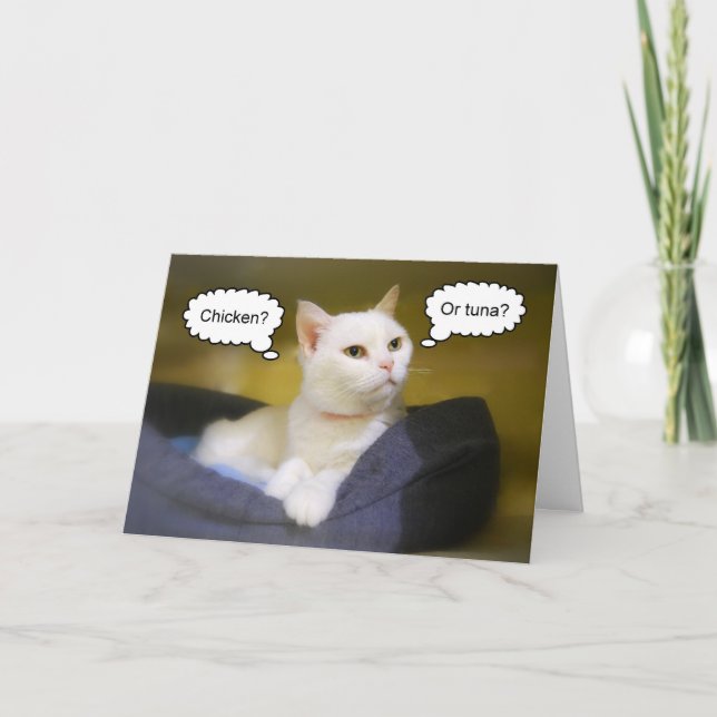 Carte White Cat Funny Birthday Card (Devant)