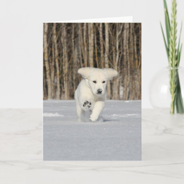 Carte White Golden Retriever Puppy in Snow (Devant)