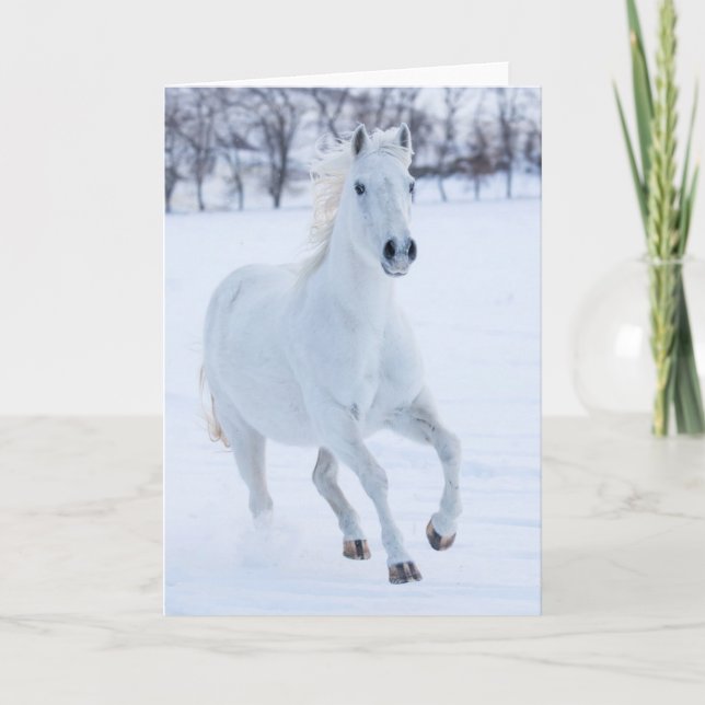 Carte White Horse Running in the Snow (Devant)