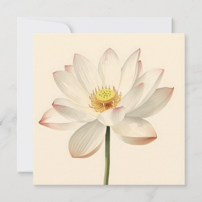 Carte White Lotus Flower (Devant)
