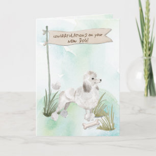 Carte White Poodle Félicitations pour le nouveau chien