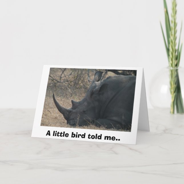 Carte White Rhino gets Advice from a Little Bird, A l... (Devant)