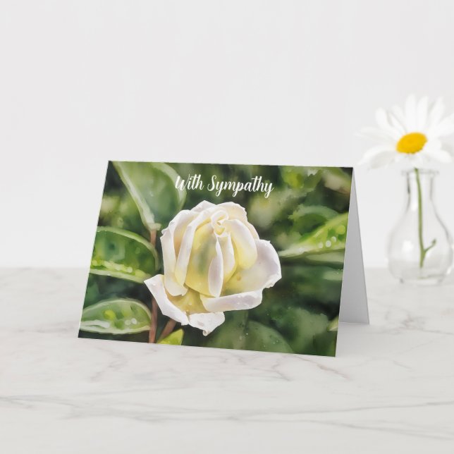 Carte White Rose Art Sympathy (Petite plante)