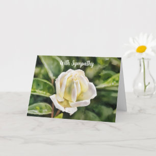 Carte White Rose Art Sympathy