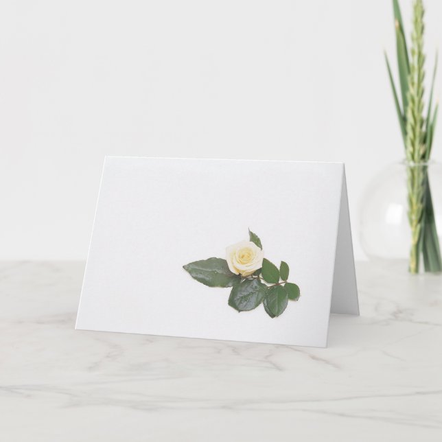 Carte White Rose Card (Devant)