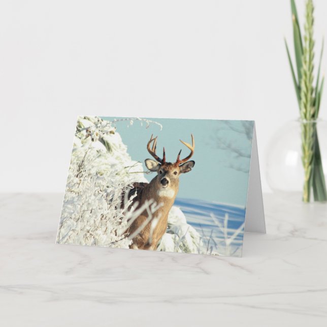 Carte White Tail Deer Big Buck Winter Scène (Devant)