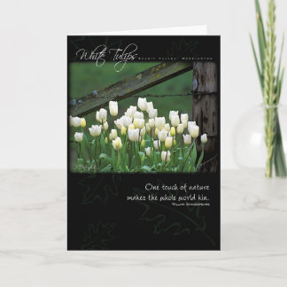 Carte White Tulips