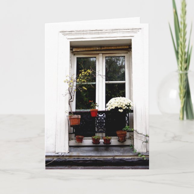 Carte White Window (Devant)