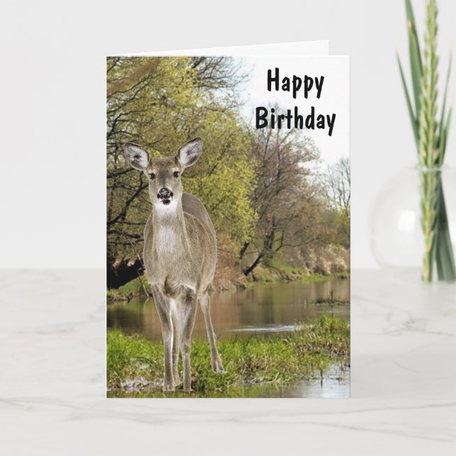 Carte Whitetail Deer par Creek Joyeux anniversaire pour  (Devant)
