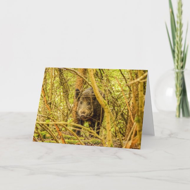 Carte Wild Boar (Devant)