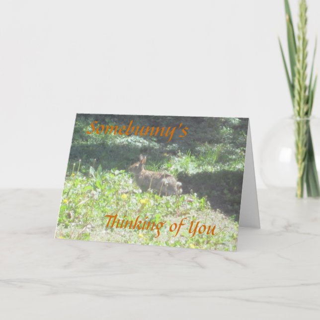 Carte Wild Bunny "Somebunny's Thinking of You" (Devant)