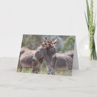 Carte Wild Burros Greeting
