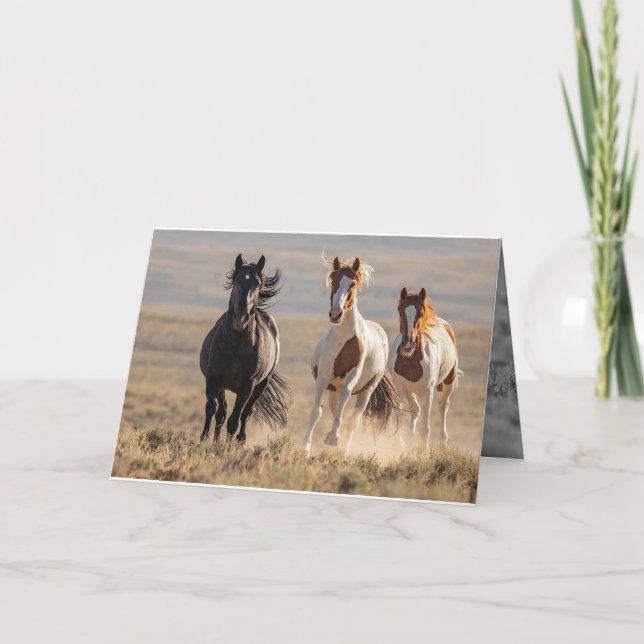 Carte Wild Family Runs Horse Grey Card (Devant)