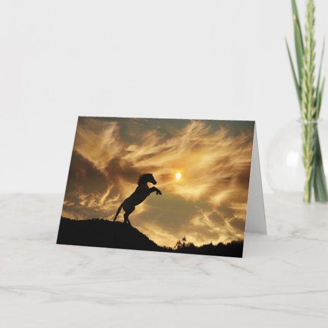 Carte Wild Horse Funny Birthday Card (Devant)