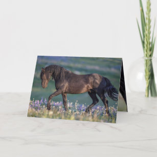 Carte Wild Horse Greeting Card