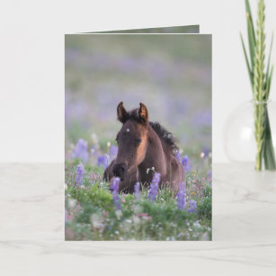 Carte Wild Horse Greeting Card
