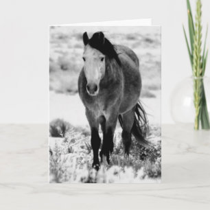 Carte WILD HORSE OF UTAH Foleting Card
