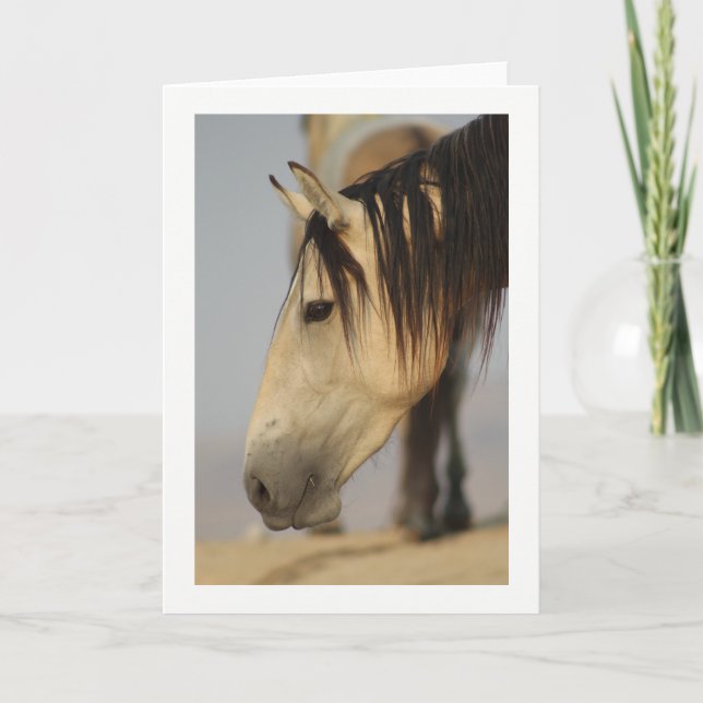 CARTE WILD HORSE OF UTAH GREETING CARD (Devant)