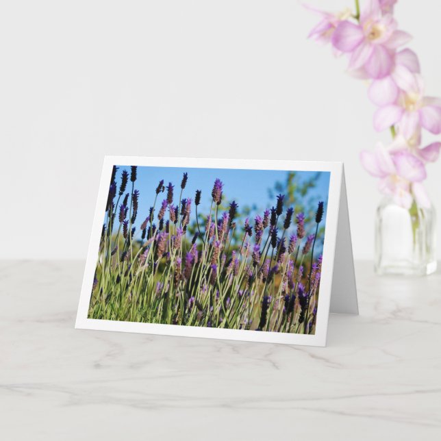 Carte Wild Lavender Blue Sky Portrait (Orchidée)