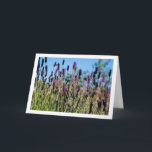 Carte Wild Lavender Blue Sky Portrait<br><div class="desc">Wild Lavender Blue Sky Portrait Greeting Card. You can easily customize this product for free if you would like to add wording or change the color of the background.</div>