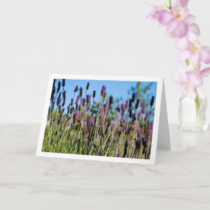 Carte Wild Lavender Blue Sky Portrait