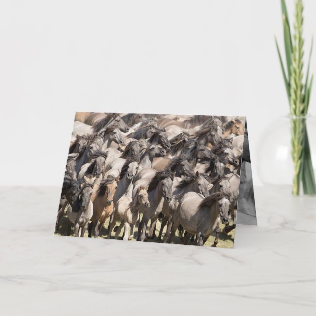 Carte Wild Run - Wild Horse Grey Card (Devant)