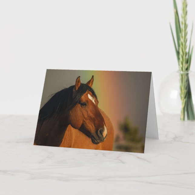 Carte Wild Stallion, Golden Light and Rainbow (Devant)