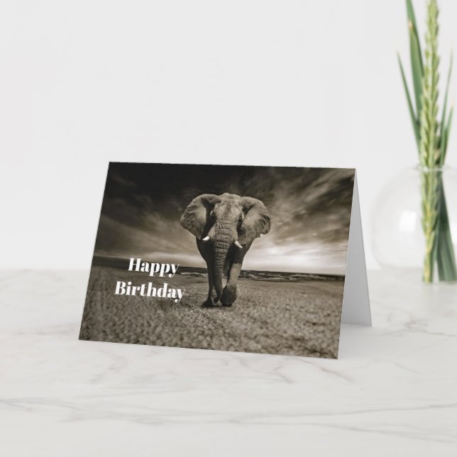 Carte Wildlife Bull Elephant Photo Anniversaire (Devant)