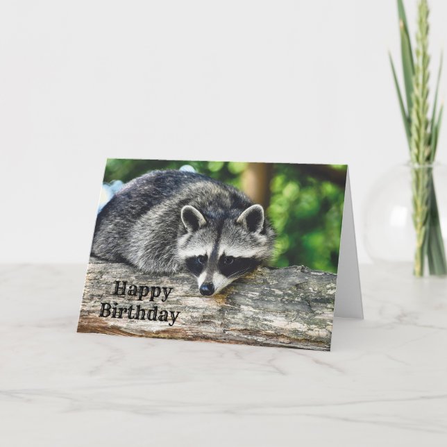 Carte Wildlife Raccoon Log Mammal Photo Anniversaire (Devant)
