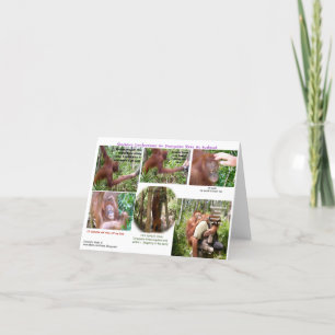 Carte Wildlife Romantic Humor