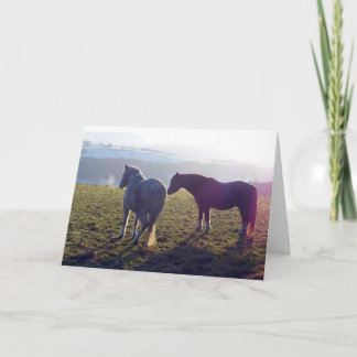 Carte Winter pasture horse card