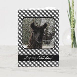 Carte Wintertime Llama and Black Gingham
