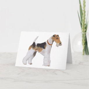 Carte Wire Fox Terrier