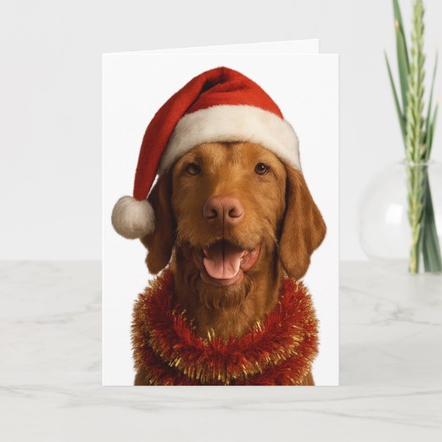 Carte Wire haired Vizsla in a Santa hat Christmas card (Devant)