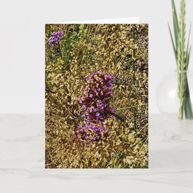 Carte Wisconsin Purple Fleur sauvage, automne 2021 (Devant)
