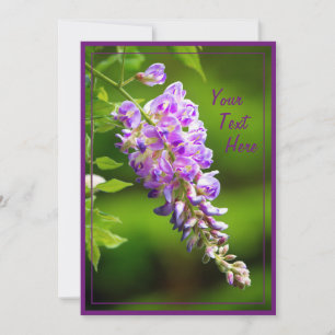 Carte Wisteria