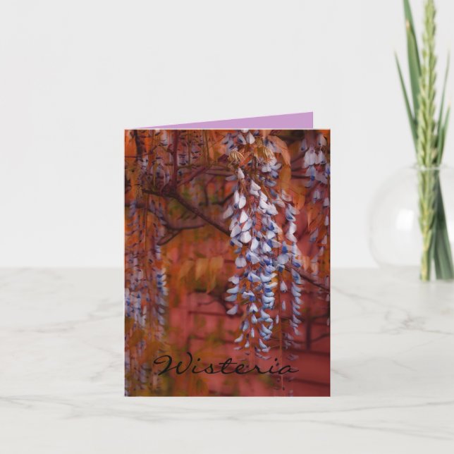 Carte Wisteria (Devant)