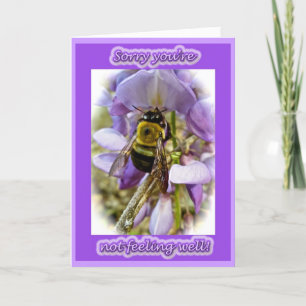 Carte Wisteria & Homme Carpenter Bee Get Well Card