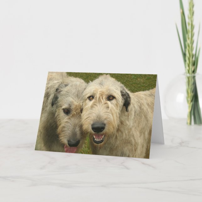 Carte Wolfhounds irlandais (Devant)