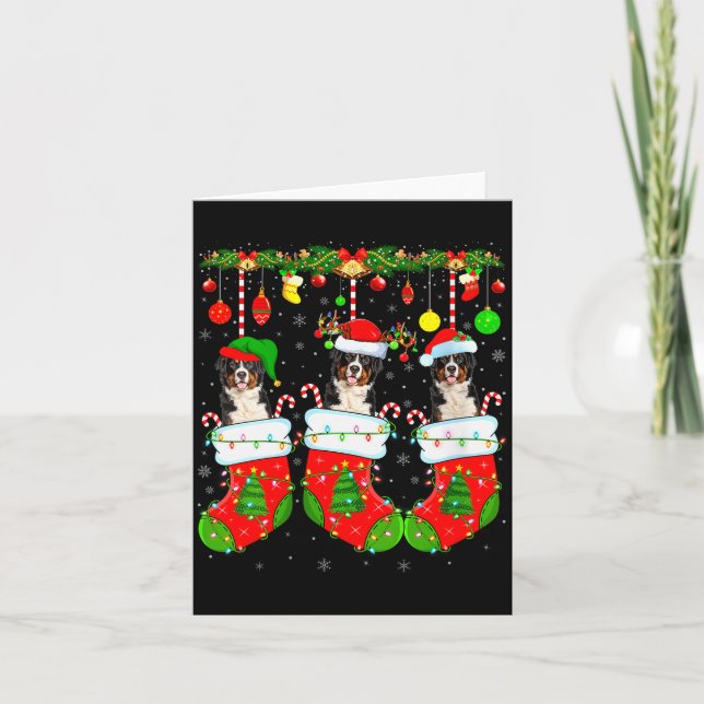Carte Womens Saint Bernard Dog In Christmas Socks Funny  (Devant)