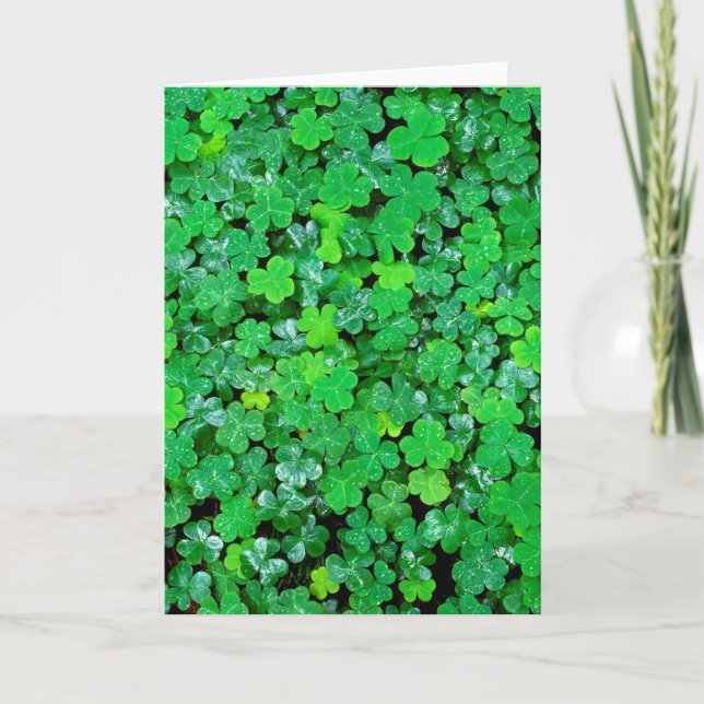 Carte Wood Sorrel (Devant)