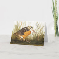 Woodcock Aquarelle Salutation Crad