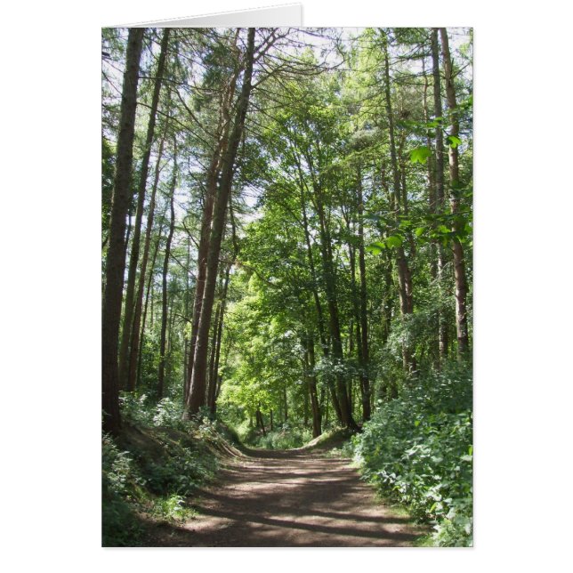 Carte Woods (Devant)