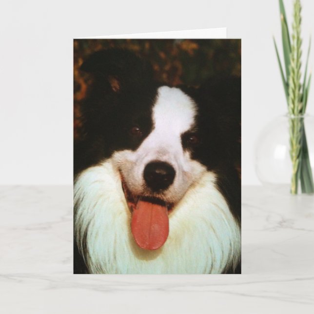 CARTE WOOF WOOF HAPPY BIRTHDAY HONEY (Devant)