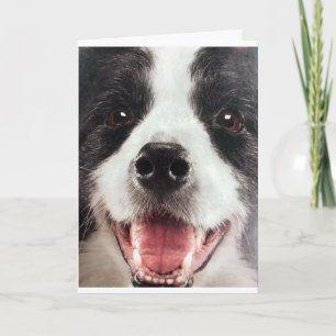 CARTE WOOF WOOF OU EN D'AUTRES MOTS **JOUR D'ANNIVERSAIR