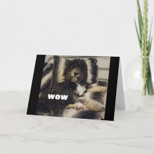 CARTE WOW NE PEUT JUSTE PAS CROIRE QUE VOUS ÊTES "60" CA