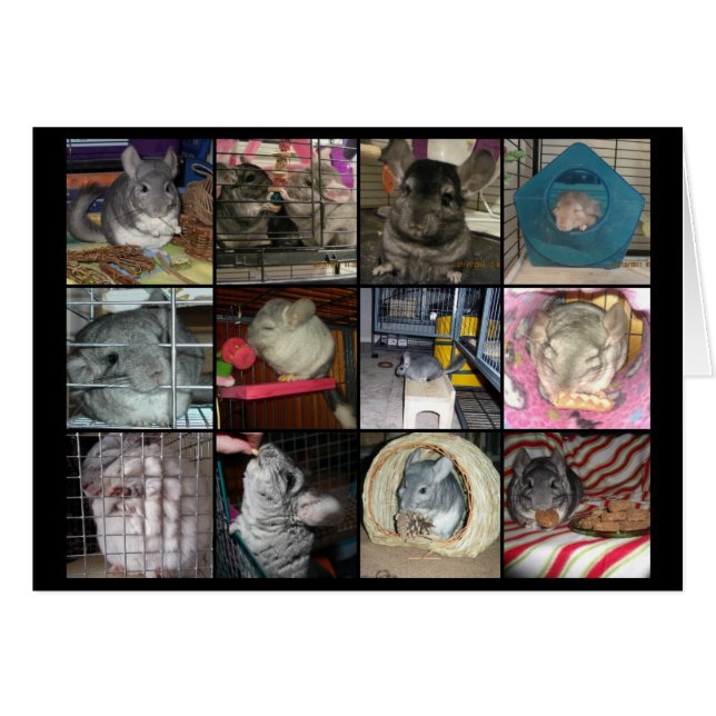 Carte Wunderchins 2012 (Devant horizontal)